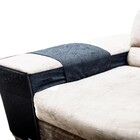 Arranhador Gatos Protetor Sofá 01 Unidade Lado Direito Preto