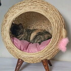 Arranhador Gatos Toca Palha