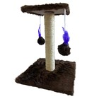 Arranhador Para Gato 2 Bases Com Brinquedo Duplo Ld Pet  Marr