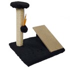 Arranhador Para Gato Com Rampa E Poste Ld Pet  Preto