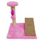 Arranhador Para Gato Com Rampa E Poste Ld Pet  Rosa
