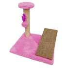 Arranhador Para Gato Com Rampa E Poste Ld Pet  Rosa