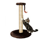 Arranhador Para Gato Torre Gigante 80 Cm Com Sisal Marrom