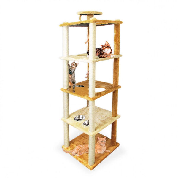 Arranhador Para Gatos Gg Com 5 Andares + 2 Vasilhas Inox Cara