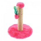 Arranhador Redondo Mais Cat