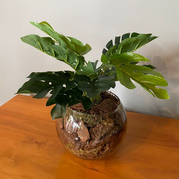 Arranjo Artificial Centro De Mesa Mini Costela De Adão Comple