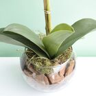 Arranjo Artificial De Orquídea Rosa 3d No Vaso De Vidro Peque