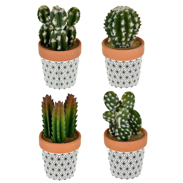 Arranjo Cactos Sortidos Branco com Preto