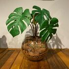 Arranjo Centro De Mesa Mini Costela De Adão Artificial Comple