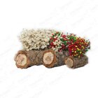 Arranjo Cochinho P Sempre Viva Artesanal Flores Secas