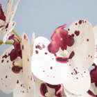 Arranjo Com Duas Orquídeas Artificiais Tigre No Vaso Prateado