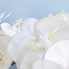 Arranjo Com Seis Orquídeas Artificiais Brancas De Silicone No
