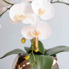 Arranjo Com Três Orquídeas Artificiais Brancas No Vaso Rose G