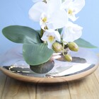 Arranjo Com Três Orquídeas Brancas No Vaso De Vidro Terrário