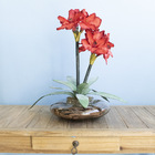 Arranjo De Flor Amarílis Artificial Vermelho No Terrário Vidr