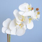 Arranjo De Flor Artificial Orquídea Branca No Vaso De Cimento