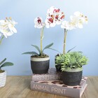 Arranjo De Flor Artificial Orquídea Tigre De Silicone No Vaso