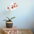 Arranjo De Flor Artificial Orquídea Tigre De Silicone No Vaso