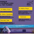 Arranjo De Flores Desidratados Decor Outono Pampas N2