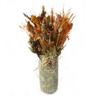 Arranjo De Flores Desidratados Decor Pampas Luxo N3