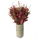 Arranjo De Flores Secas Decor Pinterest Pampas N4