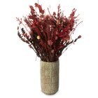 Arranjo De Flores Secas Sala Pinterest Pampas Arapoa