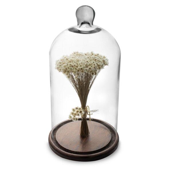 Arranjo De Flores Secas Sempre Viva Na Cupula Branca  Ht