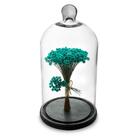 Arranjo De Flores Secas Sempre Viva Na Cupula V1  Ht