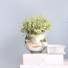 Arranjo De Folhagem Artificial Verde No Vaso Decorativo Redon