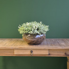 Arranjo De Folhagem Eucaliptos Verdes Artificiais No Vaso Par