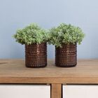 Arranjo De Folhagem No Vaso De Vidro Marsala - Kit Com Dois A