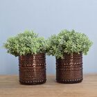 Arranjo De Folhagem No Vaso De Vidro Marsala - Kit Com Dois A