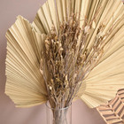 Arranjo De Folhas Secas E Latânias No Vaso De Vidro Para Deco