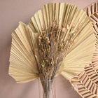 Arranjo De Folhas Secas E Latânias No Vaso De Vidro Para Deco