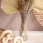 Arranjo De Folhas Secas E Latânias No Vaso De Vidro Para Deco