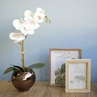 Arranjo De Orquídea Artificial De Silicone Branca No Vaso Bro