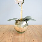 Arranjo De Orquídea Artificial De Silicone Branca No Vaso Dec