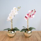 Arranjo De Orquídea Artificial De Silicone Branca No Vaso Dec