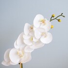 Arranjo De Orquídea Artificial De Silicone Branca No Vaso Dec