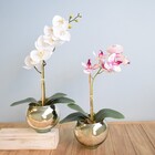 Arranjo De Orquídea Artificial De Silicone Branca No Vaso Dec