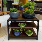 Arranjo De Orquídea Rosa Tigre Centro De Mesa No Vaso Preto