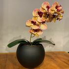 Arranjo De Orquídea Rosa Tigre Centro De Mesa No Vaso Preto