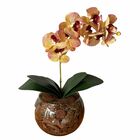 Arranjo De Orquídea Rosa Tigre Centro De Mesa No Vaso Transpa