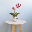 Arranjo De Orquídea Toque Real Rosa No Vaso De Vidro Decorati