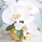 Arranjo De Orquídeas Brancas De Silicone No Vaso De Vidro Dou