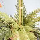 Arranjo Duas Orquídeas Artificiais Rosa Toque Real No Vaso Br