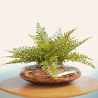 Arranjo Folhagem Artificial Avenca No Vaso Vidro Formosinha