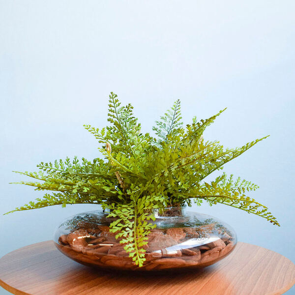 Arranjo Folhagem Artificial Avenca No Vaso Vidro Formosinha