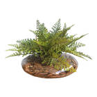 Arranjo Folhagem Artificial Avenca No Vaso Vidro Formosinha