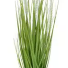 Arranjo Grass Artificial Verde Creme 53cm